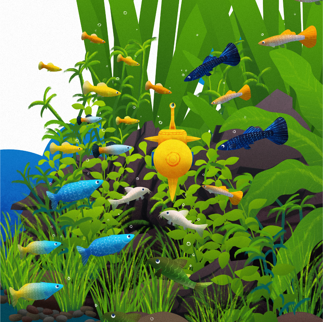 school-o-fish