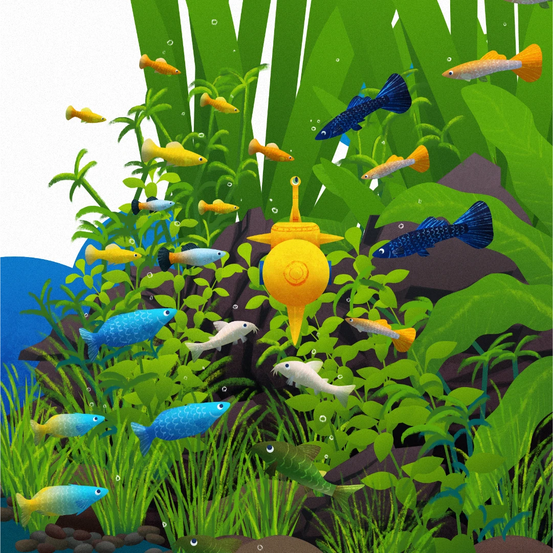 school-o-fish