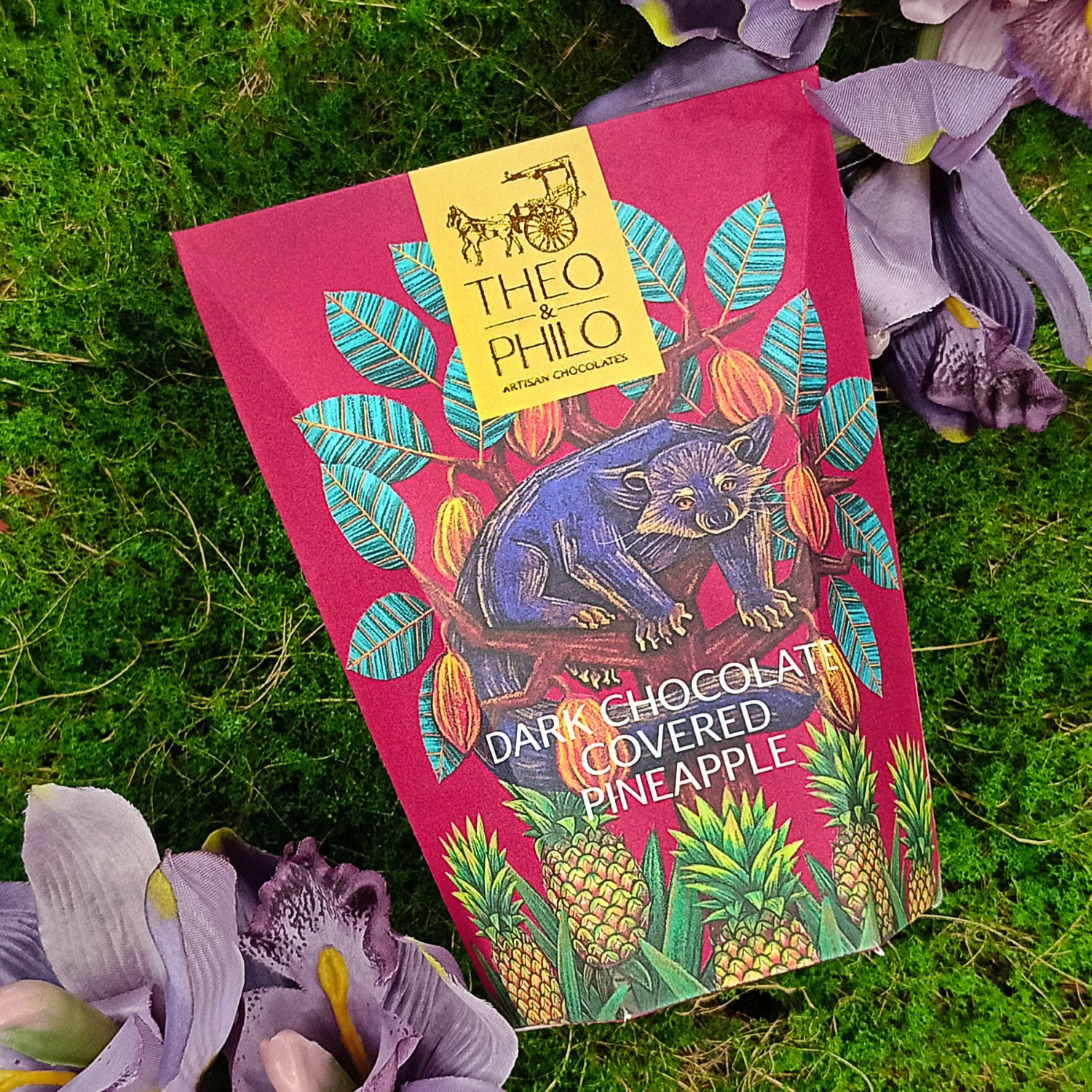 theo-philo-chocolates-dark-chocolate-covered-pineapple